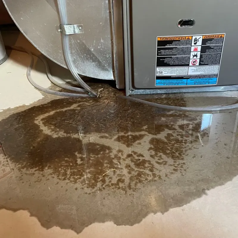 Pipe Burst and Leak Restoration in Bangor Trident Base, WA