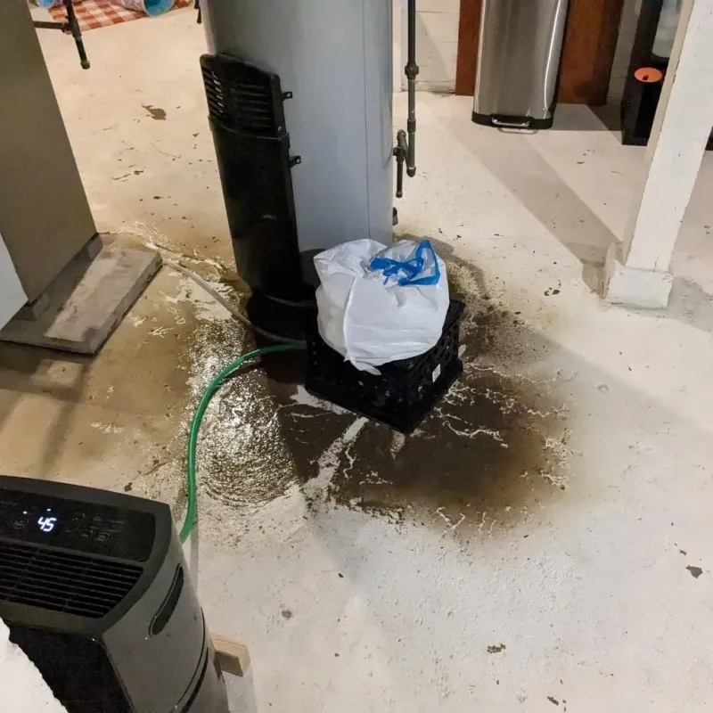 Sewage Backup Cleanup Service in Bangor Trident Base, WA